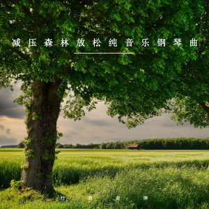 收聽療癒音律的森林治癒耳朵 (優美輕音樂)歌詞歌曲