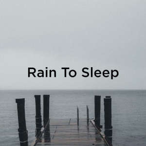 ดาวน์โหลดและฟังเพลง Baby Sleep Ambience พร้อมเนื้อเพลงจาก Rain Sounds