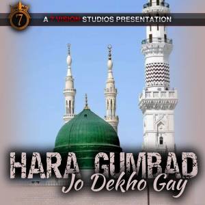 Maria（歐美）的專輯HARA GUMBAD JO DEKHO GAY