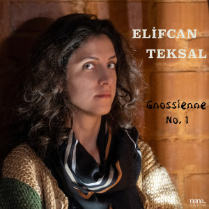 Listen to No.1 (Live) song with lyrics from Elifcan Teksal
