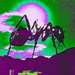 ดาวน์โหลดและฟังเพลง Phylum 3 พร้อมเนื้อเพลงจาก Black Ant
