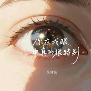 Listen to 你在我眼中真的很特别 (伴奏) song with lyrics from 艾可薇