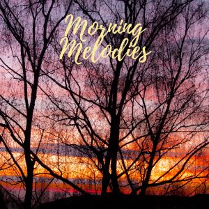 ดาวน์โหลดและฟังเพลง Darling, Get Out พร้อมเนื้อเพลงจาก Masala Roo