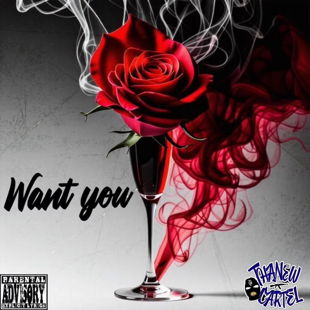 Want You (feat. B Moore & Inky Slim) (Explicit)