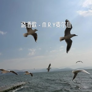 Listen to 烧酒歌 (DJ版) song with lyrics from M.R.Y麦尔彦