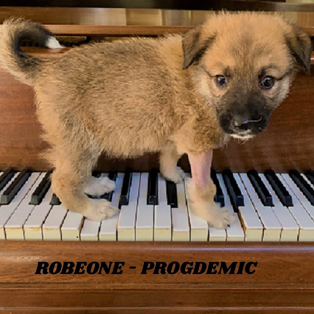 Progdemic