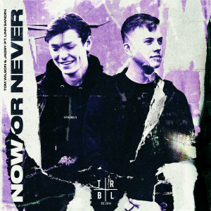 Listen to Now or Never song with lyrics from Tom Wilson