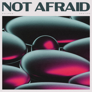 ดาวน์โหลดและฟังเพลง Not Afraid พร้อมเนื้อเพลงจาก Hallman