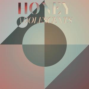 Honey Adolescents dari Various