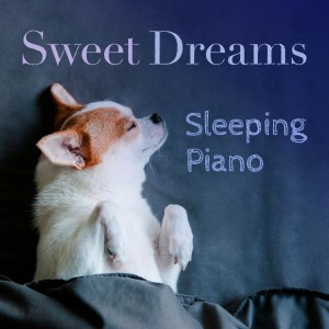 收听Relaxing Piano Crew的Sleeptime Tunes歌词歌曲