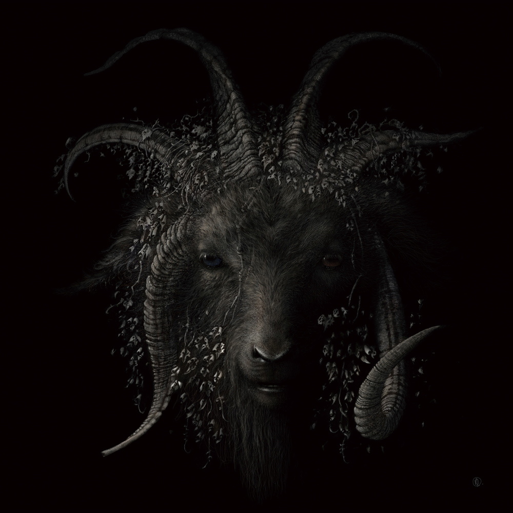 Shape of Death (feat. SUGIZO)