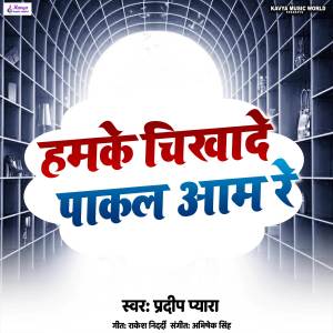 Album Hamke Chikhade Pakal Aam Re from 