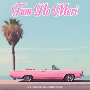 Akbar Wasif的專輯Tum Ho Meri