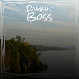 Album Dammit Boss from Various