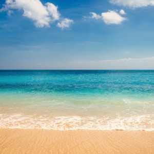 收听Sounds of Nature Zone的Relax Waves歌词歌曲