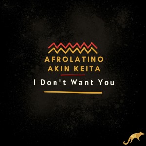 ดาวน์โหลดและฟังเพลง I Don't Want You พร้อมเนื้อเพลงจาก Afrolatino