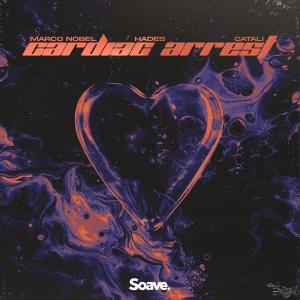 Album Cardiac Arrest from Marco Nobel