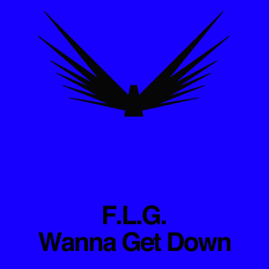 ดาวน์โหลดและฟังเพลง Wanna Get Down พร้อมเนื้อเพลงจาก F.L.G.