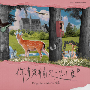 收聽白鹿的你有沒有看見一隻小鹿歌詞歌曲