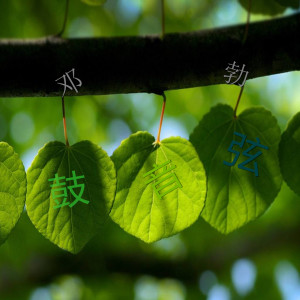 Album 鼓音弦 from 邓勃