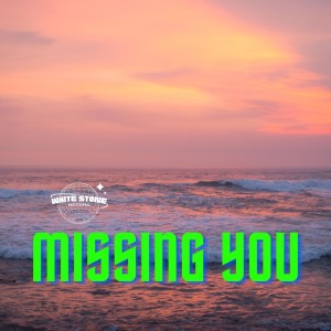 收聽Sean Perry WSB的Missing You歌詞歌曲