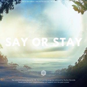 ดาวน์โหลดและฟังเพลง Say Or Stay（Say You'll Stay） พร้อมเนื้อเพลงจาก DR.David