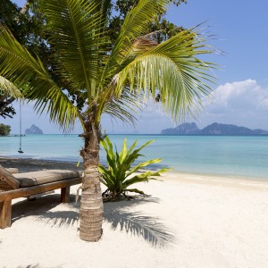 Album Mali Resort from 