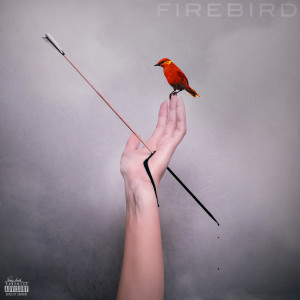 Album Firebird (Explicit) oleh Dangerfield