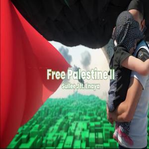 Sullee J的專輯Palestine