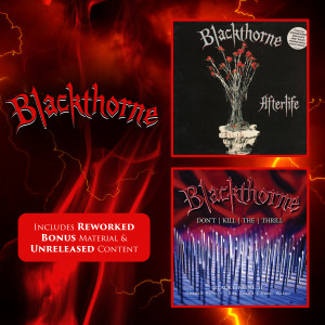 Blackthorne的專輯Afterlife / Don't Kill The Thrill