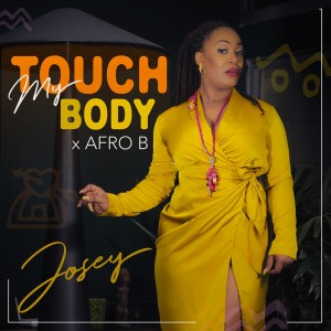 Afro B的专辑Touch My Body