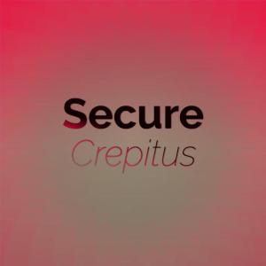 Album Secure Crepitus oleh Various