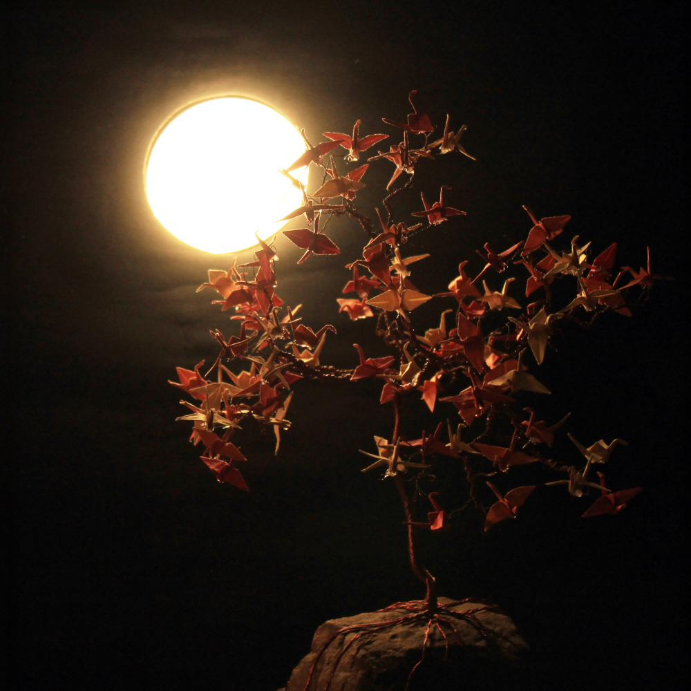 Ilusión Lunar