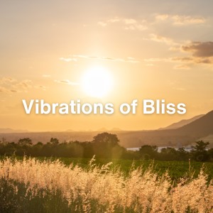 Album Vibrations of Bliss from 528Hz Open Heart Chakra