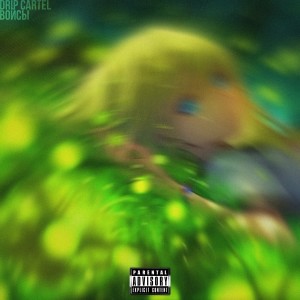Listen to Войсы (Explicit) song with lyrics from Drip Cartel