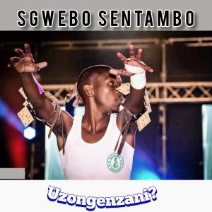 Sgwebo Sentambo的專輯Uzongenzani?