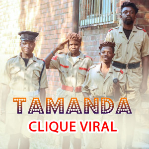 Listen to Tamanda song with lyrics from Clique Viral