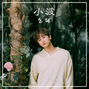 Album 小波 from Heo Young Saeng (许永生)