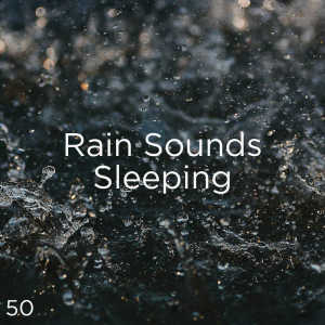 收聽Meditation Rain Sounds的Rain Sounds For Sleeping歌詞歌曲
