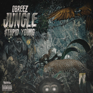 Listen to Jungle (Explicit) song with lyrics from $tupid Young