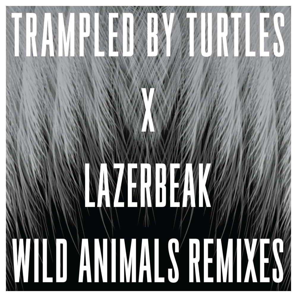Are You Behind the Shining Star? (Lazerbeak Remix)