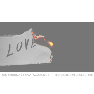 Listen to You Should Be Sad (Acoustic) song with lyrics from The Cameron Collective