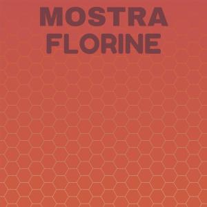 收听Magne Fiki的Secondo Floor歌词歌曲