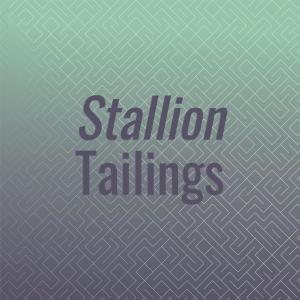 Album Stallion Tailings from Various Artists