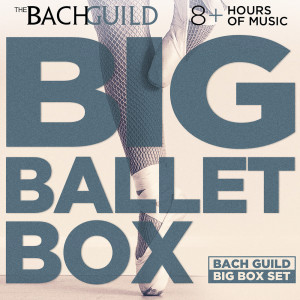 ดาวน์โหลดและฟังเพลง Gluck: Ballet Suite II - Dance of the Slaves from “Iphigenie en Aulide" พร้อมเนื้อเพลงจาก Hartford Symphony Orchestra
