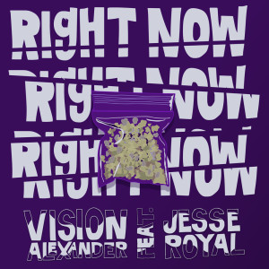 收聽Vision Alexander的Right Now Dub歌詞歌曲