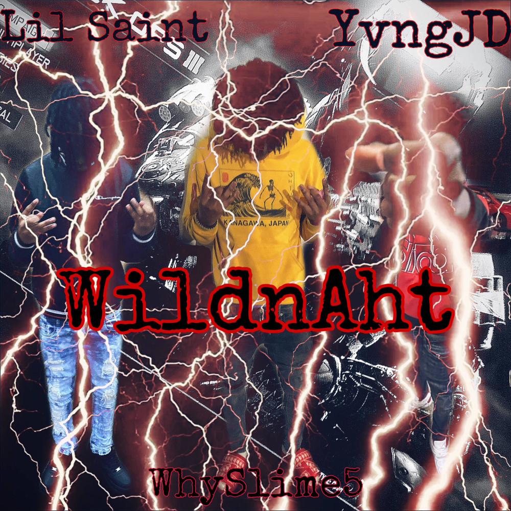 WildnAht (feat. lil saint & ynsogmpg) (Explicit)