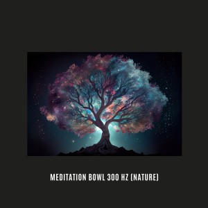 Album Meditation Bowl 300 Hz (Nature) from Elof Sunflower