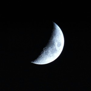 Malika Johnson的專輯Sleeping moon