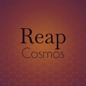 Listen to Multicolored Mist song with lyrics from Vece Horas
